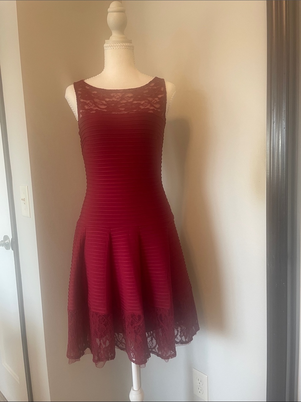 The Limited Wine Red Sleeveless Lace-Trim Mini Dress